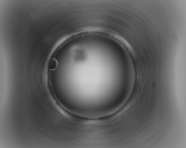 X0000114440894200910161353