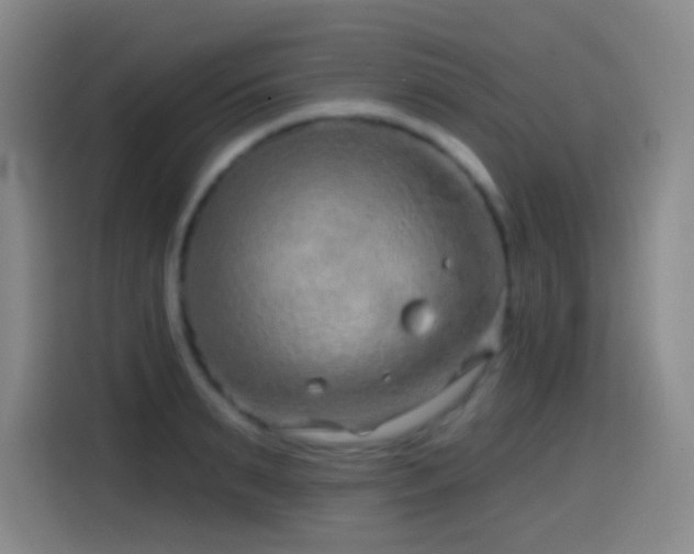 X0000114440895200910161353