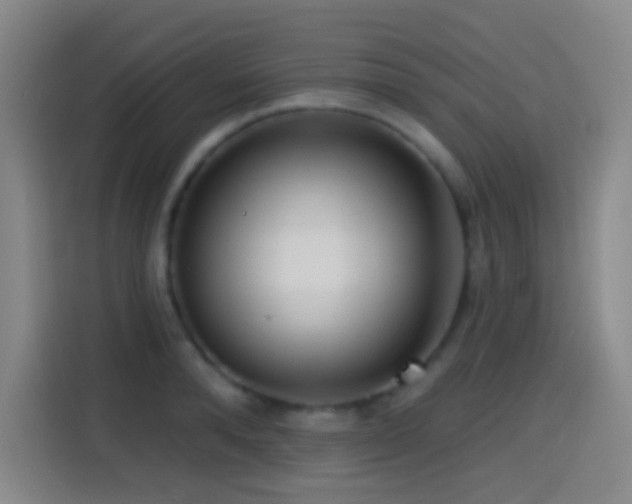 X0000114440896200910161353