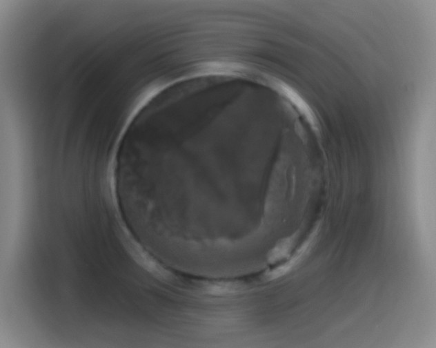 X0000114440899200910161353