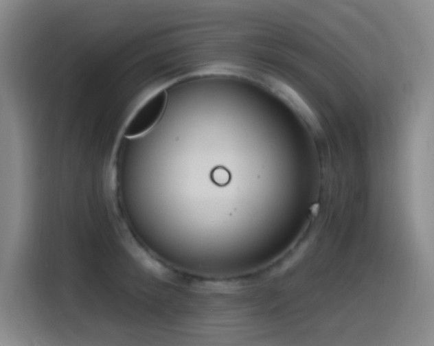 X0000114440900200910161353