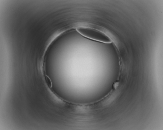 X0000114440901200910161353