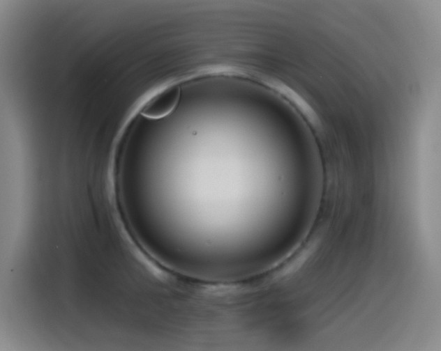 X0000114440902200910161353