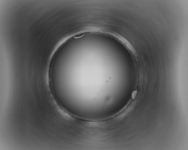 X0000114440904200910161353