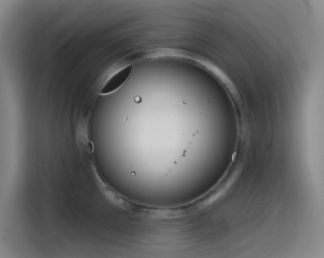 X0000114440905200910161353