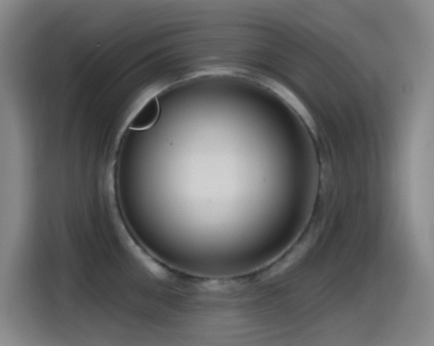 X0000114440906200910161353