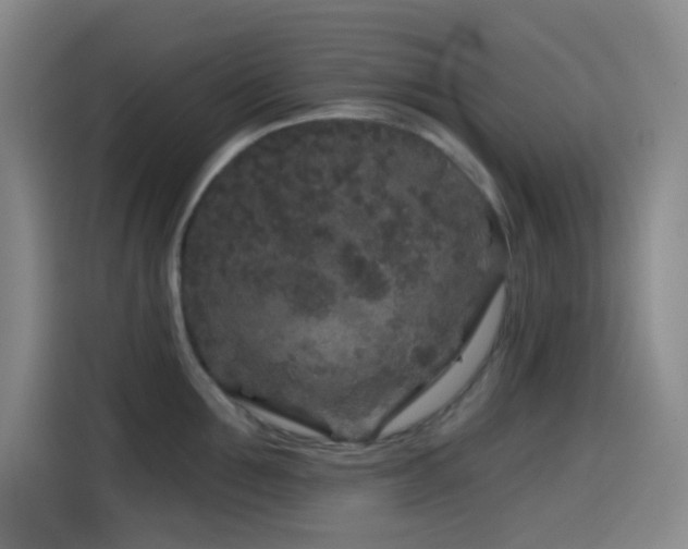 X0000114440907200910161353
