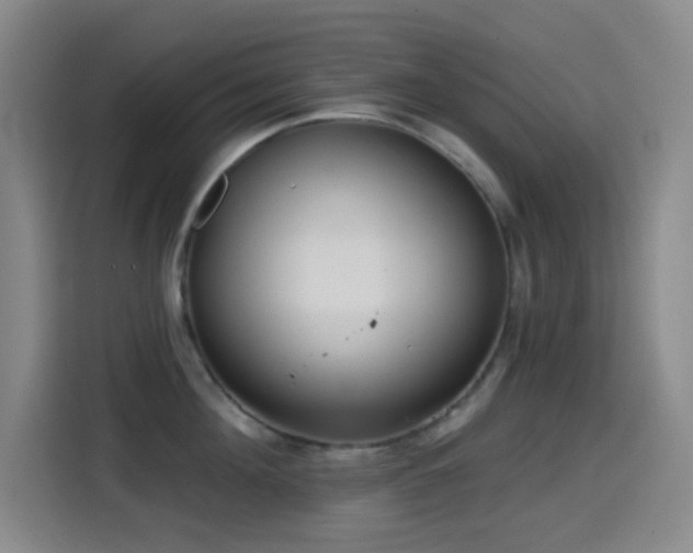 X0000114440908200910161353