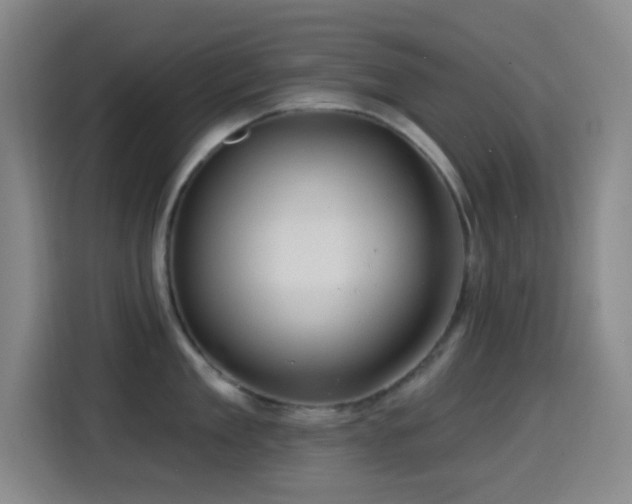 X0000114440909200910161353