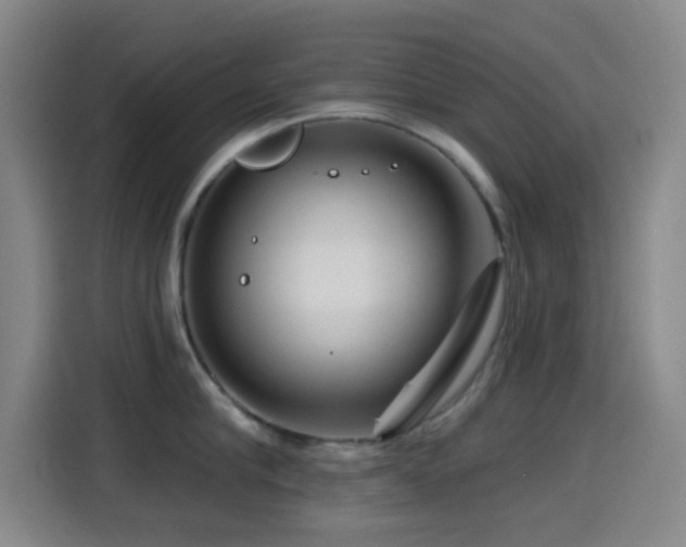 X0000114440910200910161353