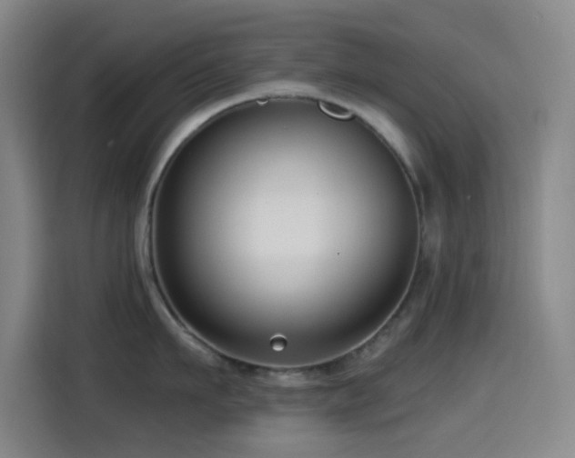 X0000114440911200910161352