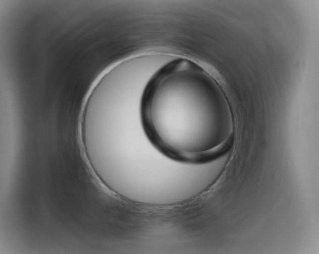 X0000114440912200910161352