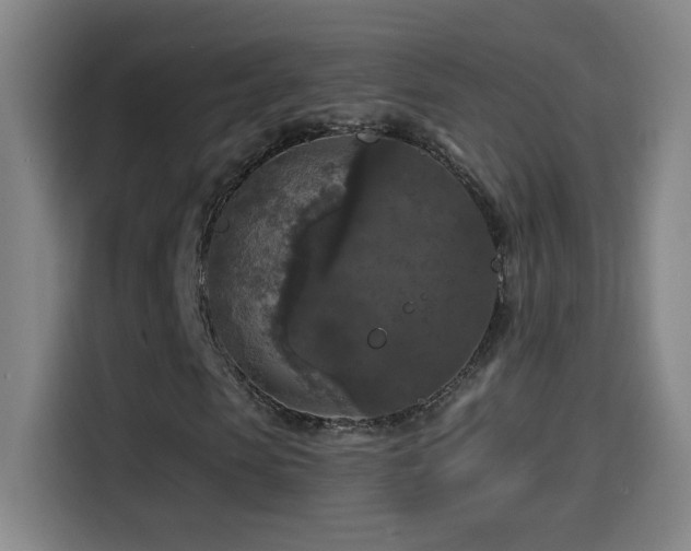 X0000114440913200910161352