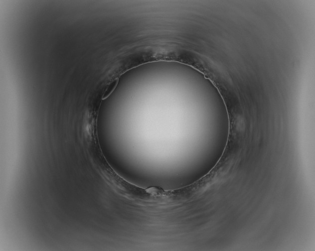 X0000114440914200910161352