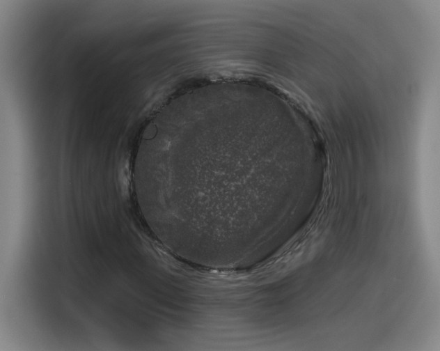 X0000114440915200910161352