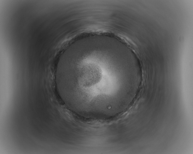 X0000114440917200910161352