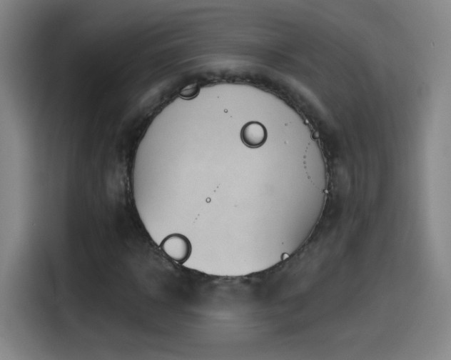 X0000114440918200910161352