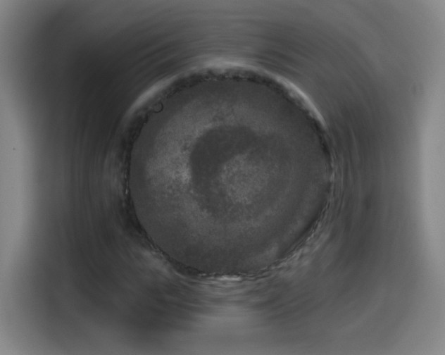 X0000114440919200910161352