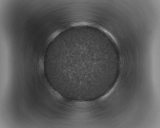 X0000114440921200910161352