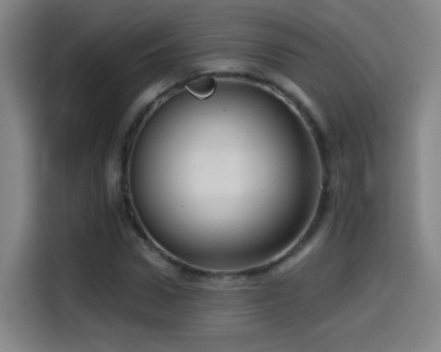 X0000114440922200910161352
