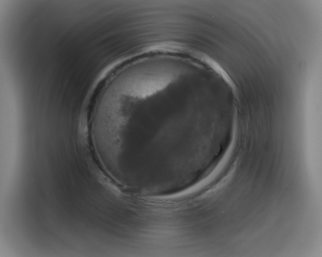 X0000114440923200910161352