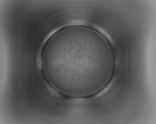X0000114440925200910161352