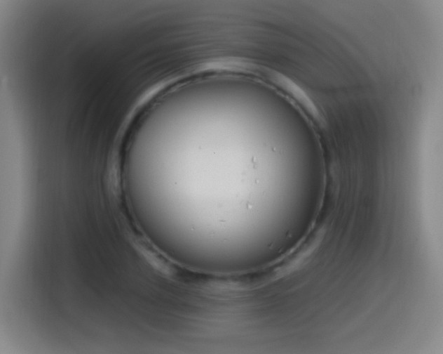 X0000114440931200910161352