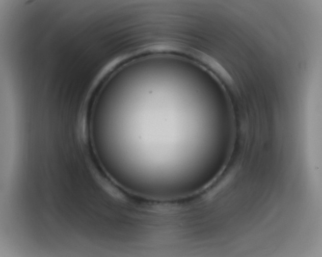 X0000114440934200910161352