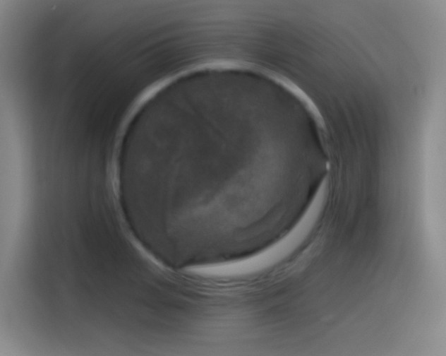 X0000114440935200910161352