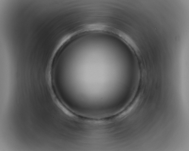 X0000114440941200910161352