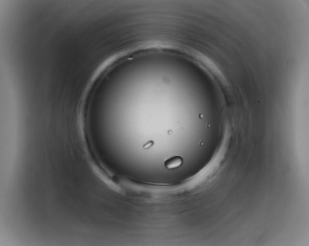 X0000114440942200910161352