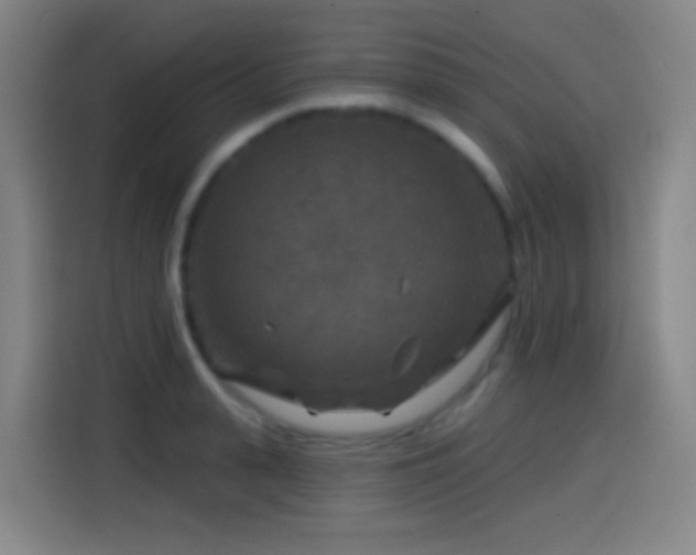 X0000114440943200910161352