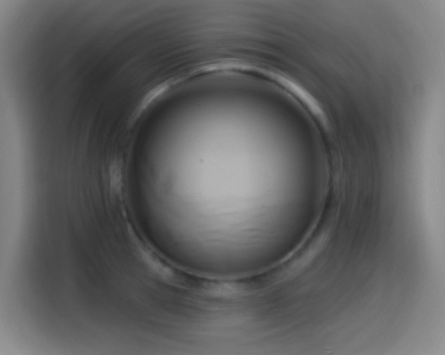 X0000114440945200910161352