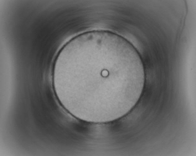 X0000114440950200910161352