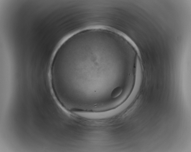X0000114440951200910161352
