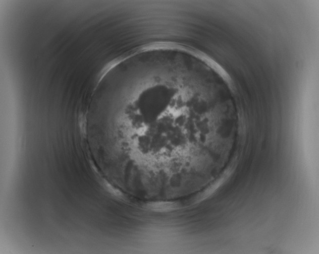 X0000114440953200910161352