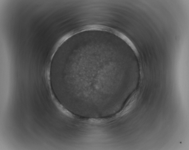 X0000114440954200910161352
