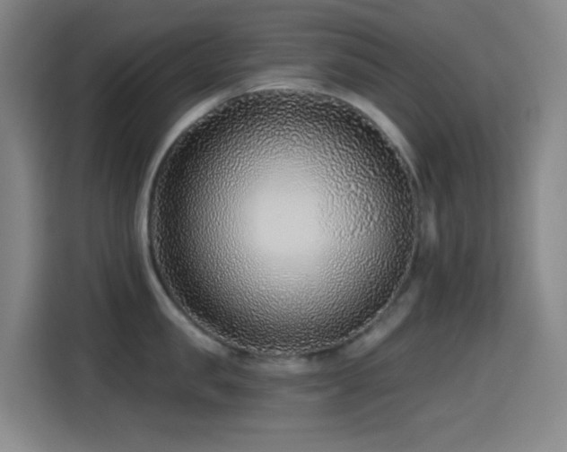 X0000114440957200910161352