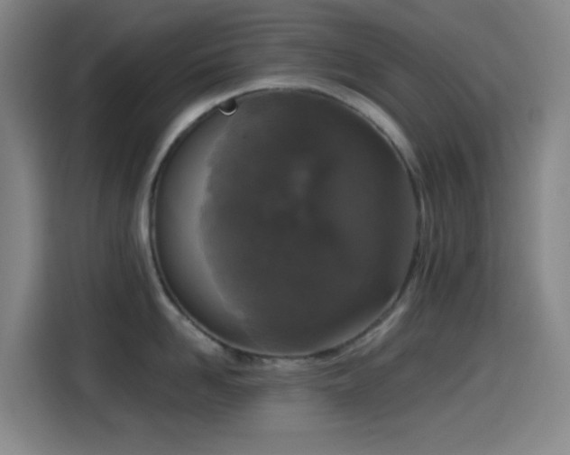 X0000114440958200910161352
