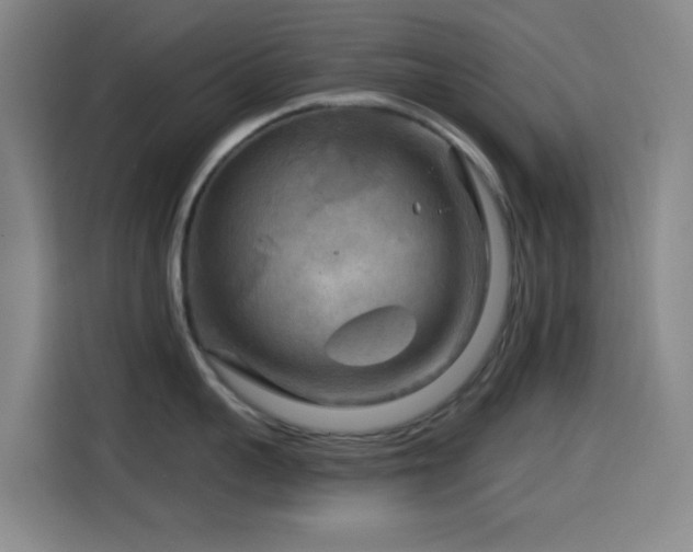 X0000114440959200910161352
