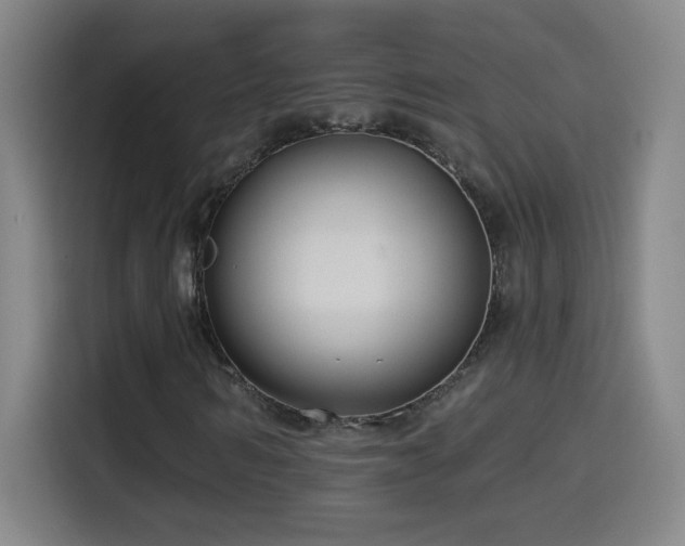 X0000114440962200910161352