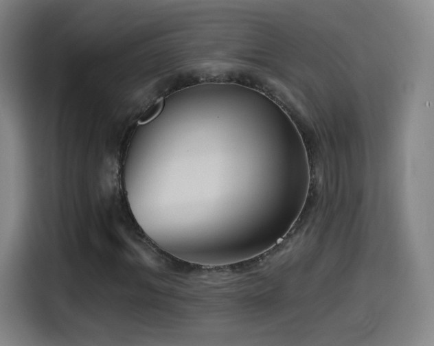 X0000114440964200910161352