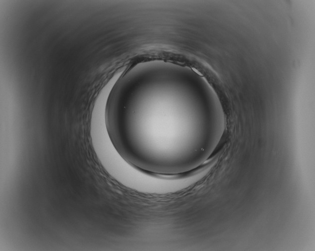 X0000114440965200910161352