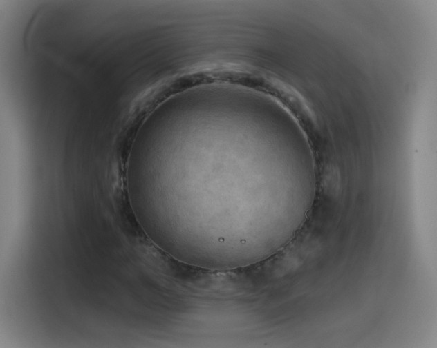X0000114440966200910161352