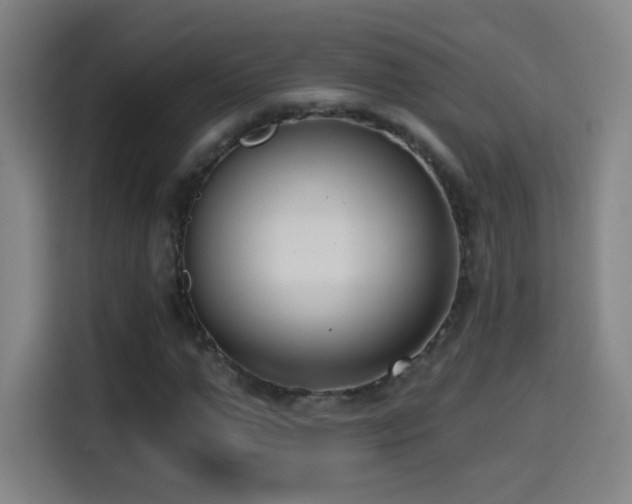 X0000114440967200910161352