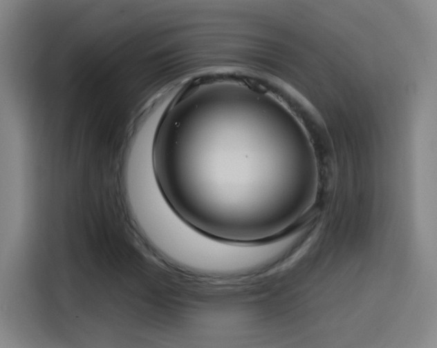 X0000114440969200910161352