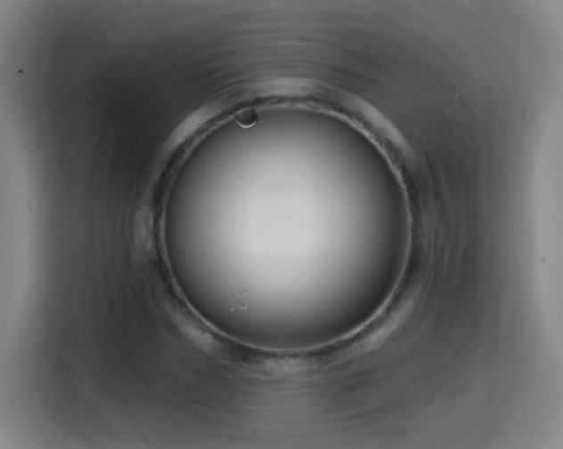 X0000114440970200910161352