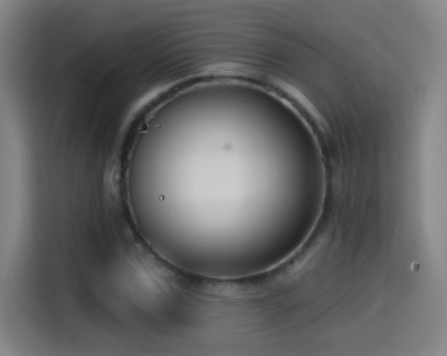 X0000114440971200910161352
