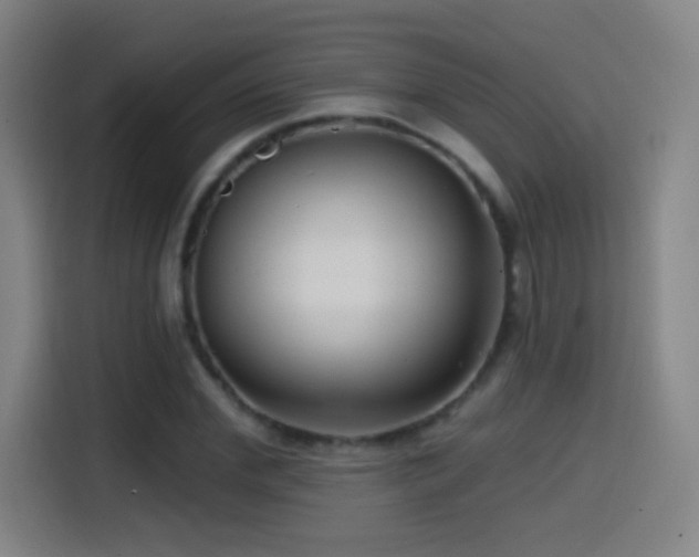 X0000114440972200910161352