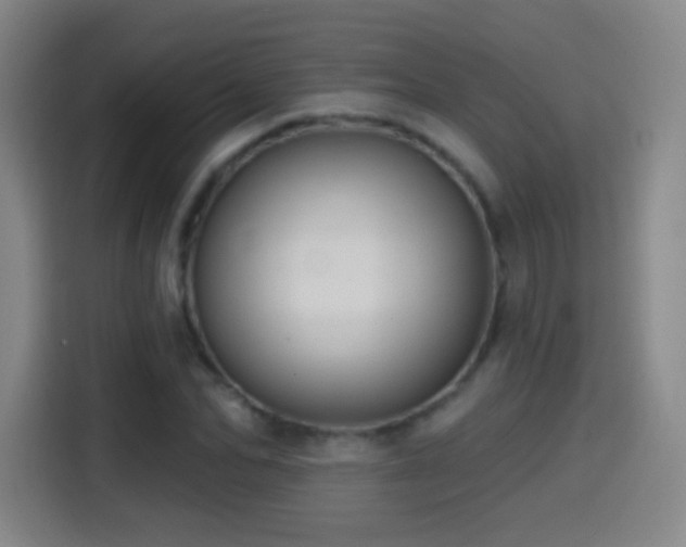 X0000114440974200910161352